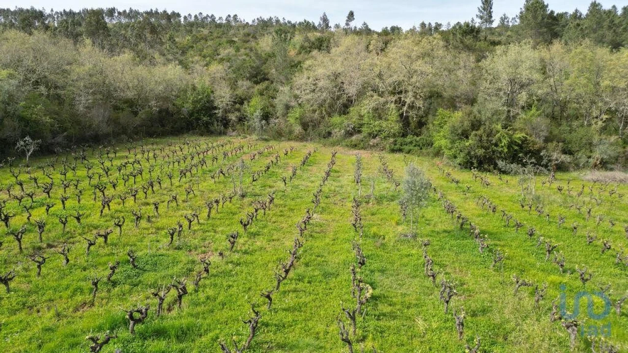 Terreno para Venda em Podentes Foto 14