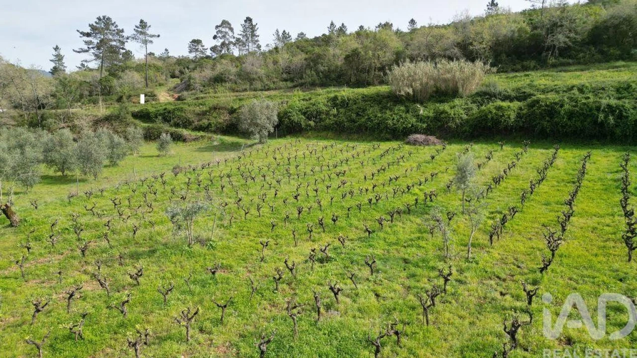 Terreno para Venda em Podentes Foto 15