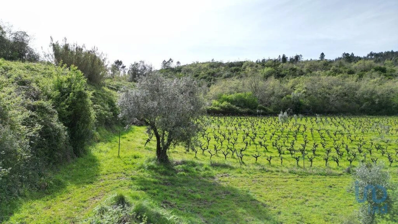 Terreno para Venda em Podentes Foto 12