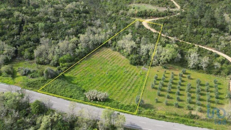Terreno para Venda em Podentes