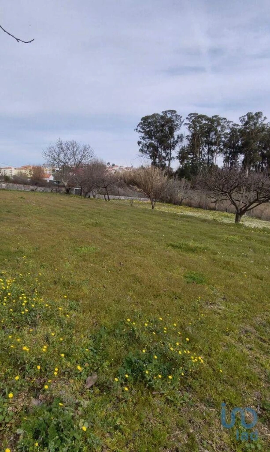 Moradia para Venda em Oliveira do Hospital e São Paio de Gramaços Foto 4