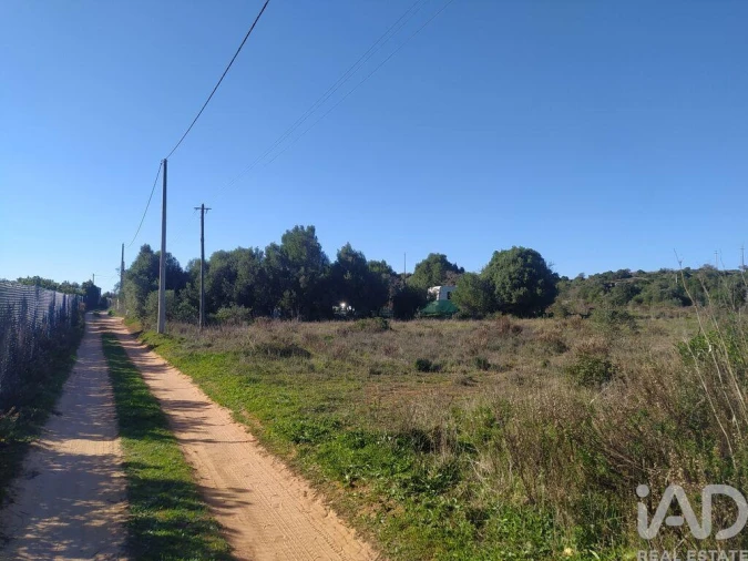 Terreno para Venda em Barão de São Miguel Foto 16