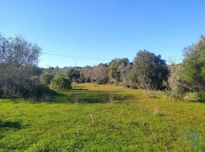 Terreno para Venda em Barão de São Miguel