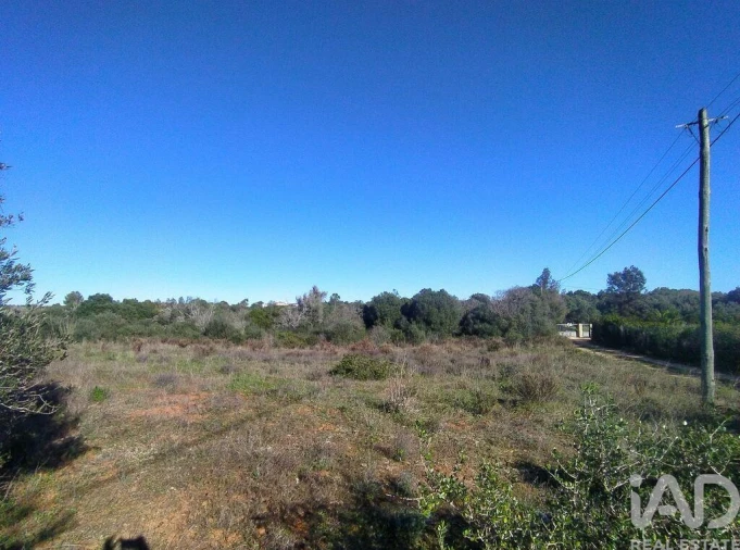 Terreno para Venda em Barão de São Miguel Foto 18