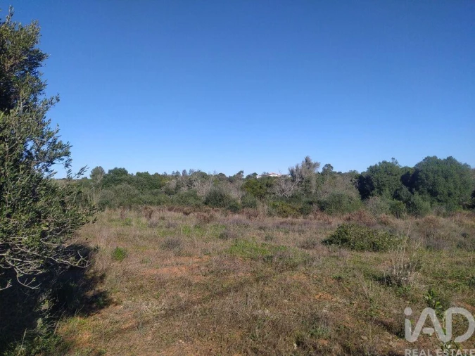 Terreno para Venda em Barão de São Miguel Foto 15