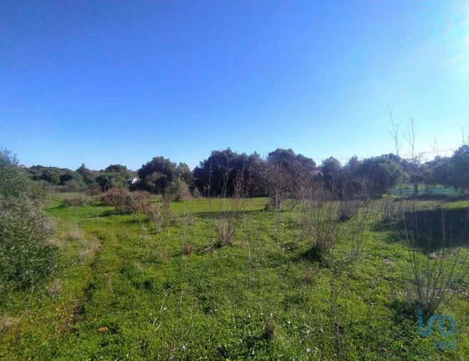 Terreno para Venda em Barão de São Miguel Foto 9