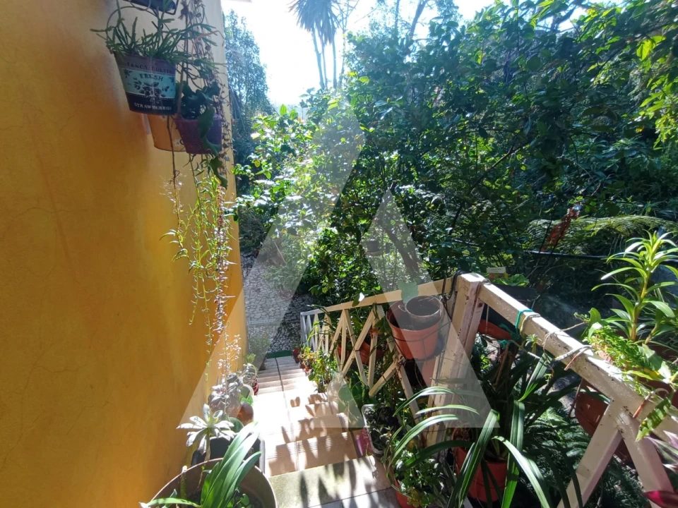 Moradia T3 para Venda em Angeja Foto 12