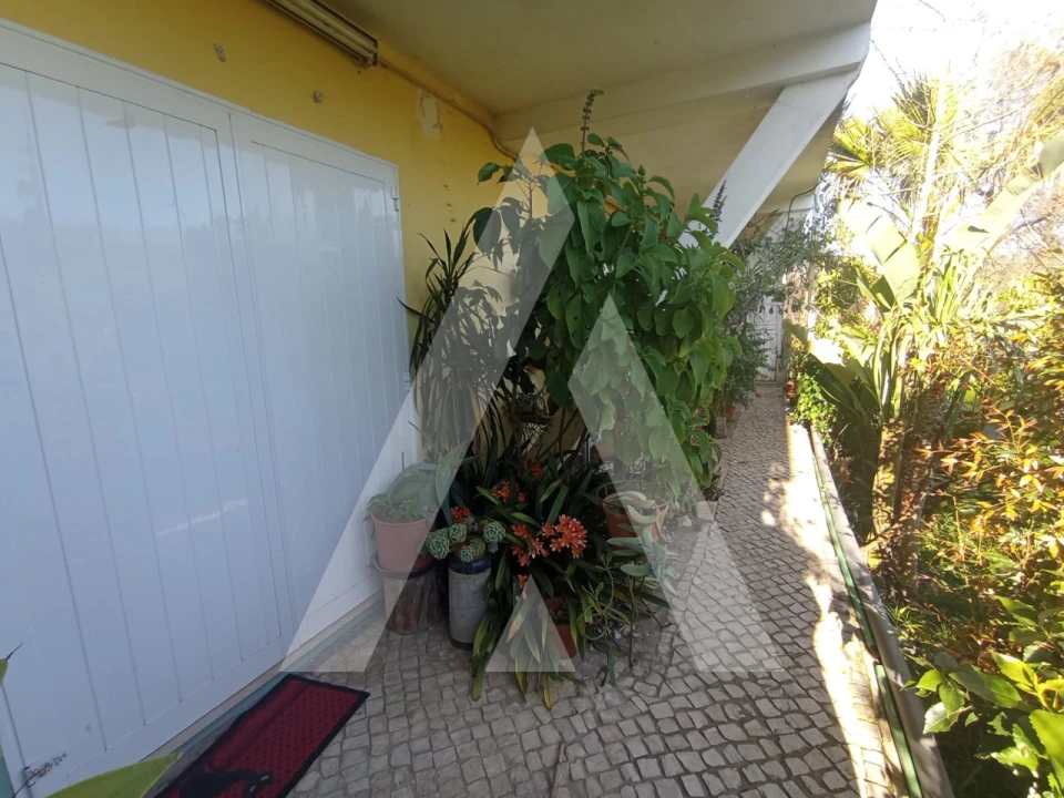 Moradia T3 para Venda em Angeja Foto 13