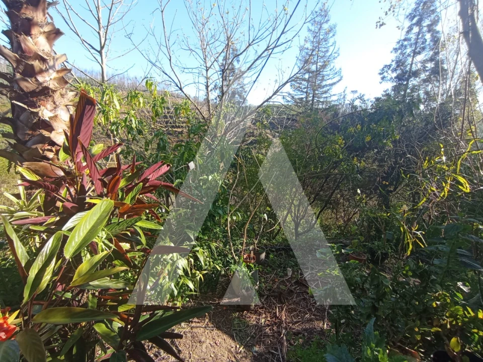 Moradia T3 para Venda em Angeja Foto 29