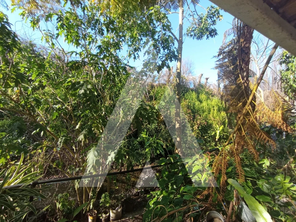 Moradia T3 para Venda em Angeja Foto 30