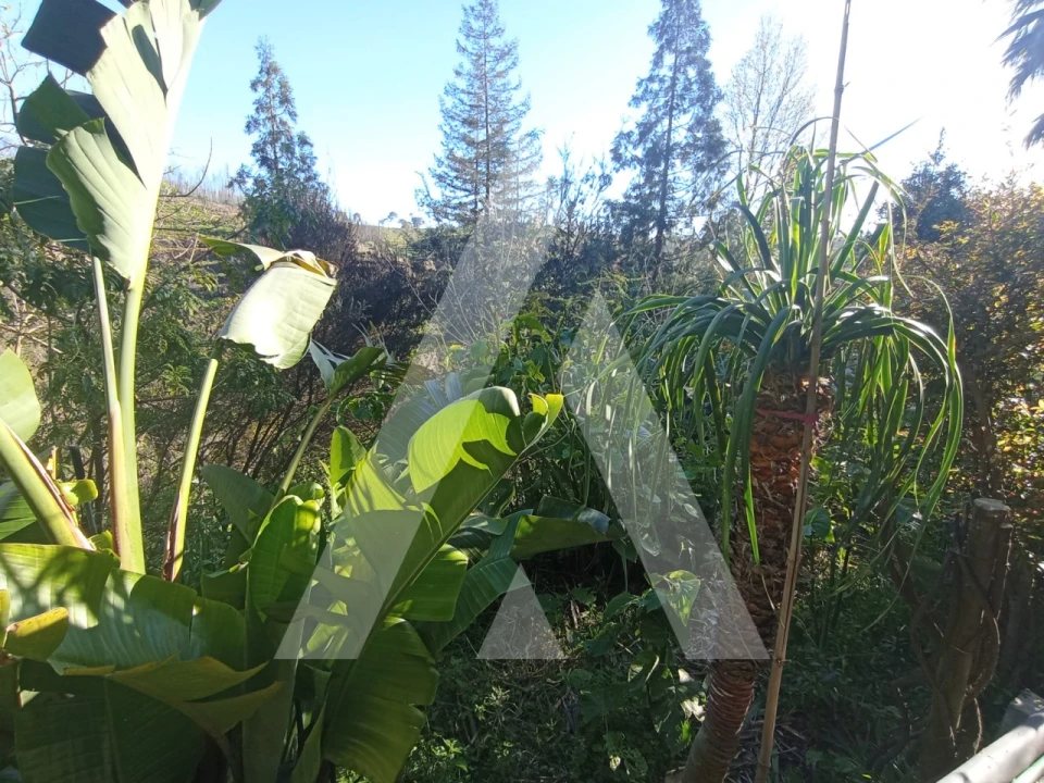 Moradia T3 para Venda em Angeja Foto 31