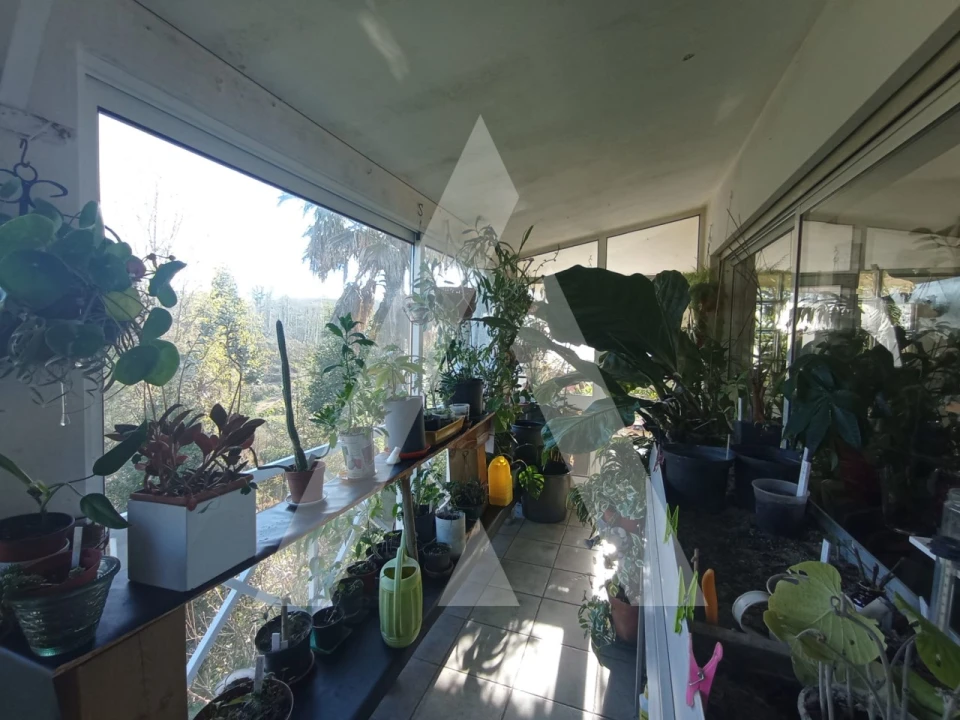 Moradia T3 para Venda em Angeja Foto 32