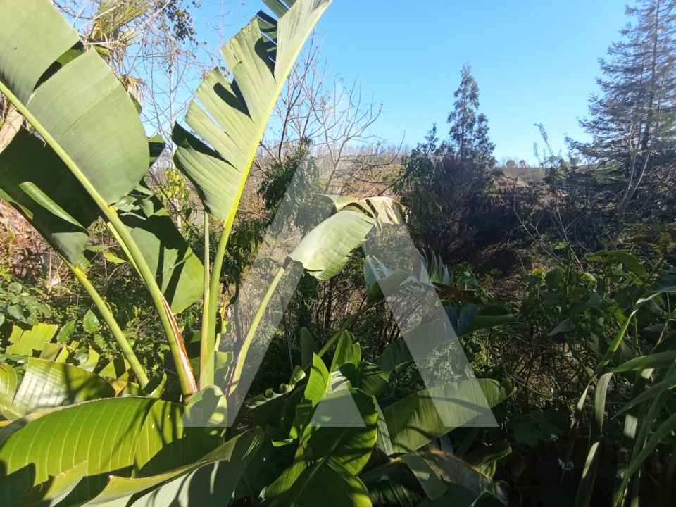 Moradia T3 para Venda em Angeja Foto 33