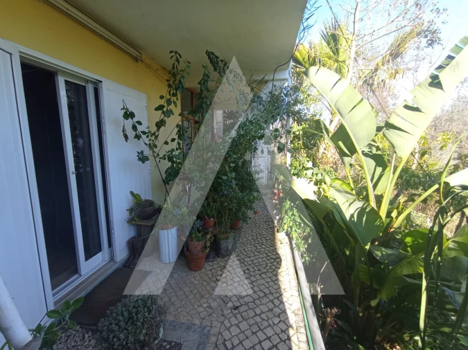 Moradia T3 para Venda em Angeja Foto 11