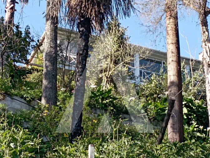 Moradia T3 para Venda em Angeja Foto 14