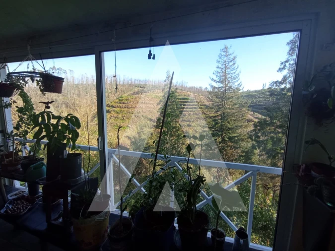 Moradia T3 para Venda em Angeja Foto 16