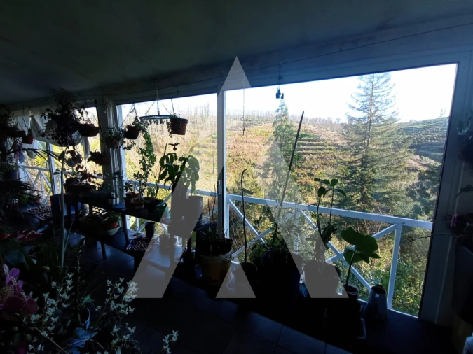 Moradia T3 para Venda em Angeja Foto 20