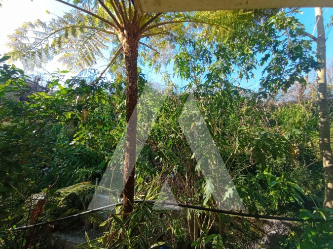 Moradia T3 para Venda em Angeja Foto 22