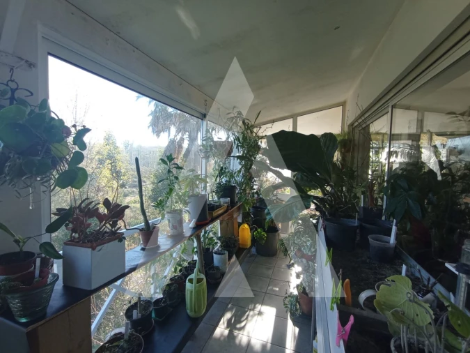 Moradia T3 para Venda em Angeja Foto 32