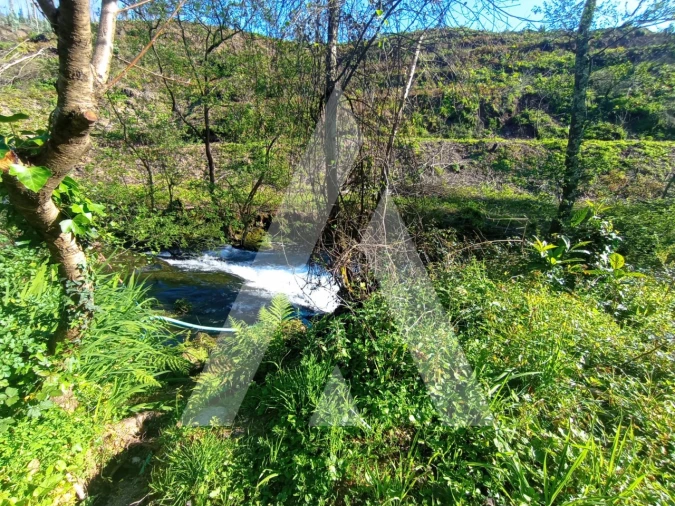 Moradia T3 para Venda em Angeja Foto 36