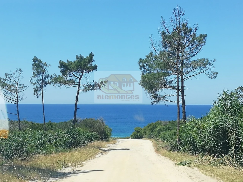 Terreno para Venda em Melides Foto 9