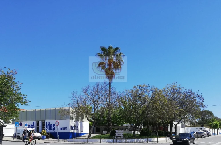 Terreno para Venda em Melides Foto 2