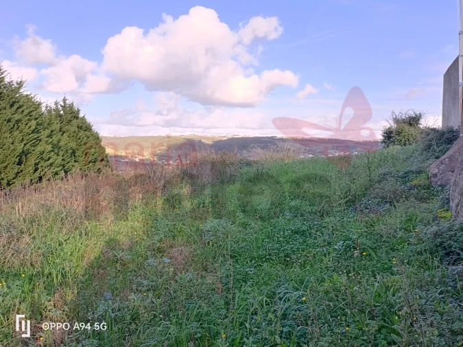 Terreno para Venda em Roliça Foto 2
