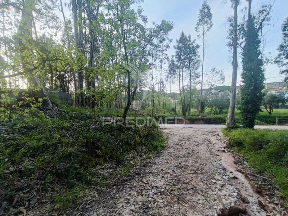 Terreno para Venda em Gondemaria e Olival Foto 10