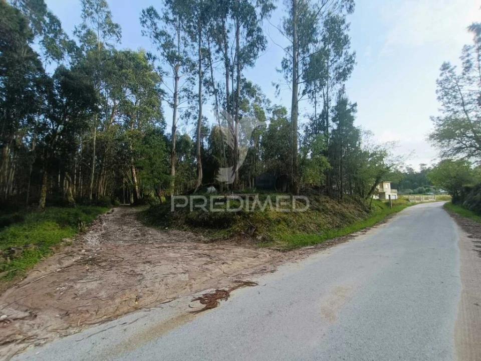 Terreno para Venda em Gondemaria e Olival Foto 4