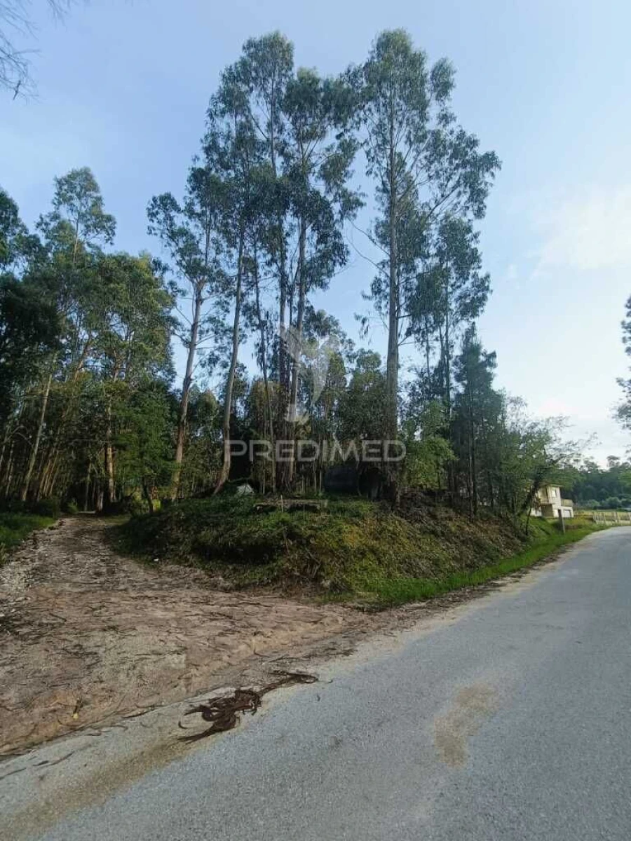 Terreno para Venda em Gondemaria e Olival Foto 3