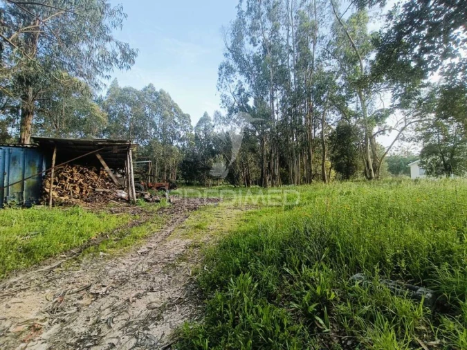 Terreno para Venda em Gondemaria e Olival Foto 11