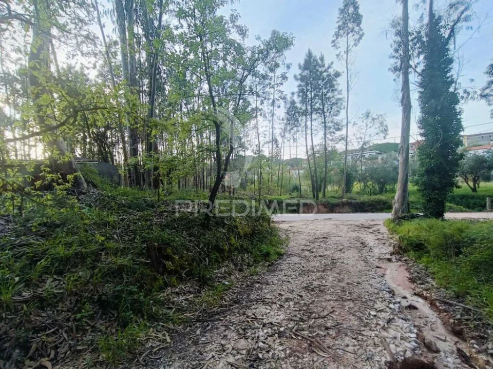 Terreno para Venda em Gondemaria e Olival Foto 7