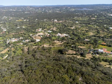 Terreno para Venda em Santa Barbara de Nexe