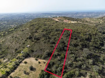 Terreno para Venda em Santa Barbara de Nexe