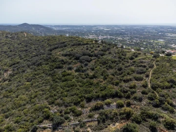 Terreno para Venda em Santa Barbara de Nexe