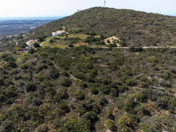 Terreno para Venda em Santa Barbara de Nexe