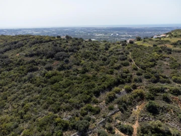 Terreno para Venda em Santa Barbara de Nexe