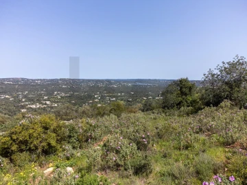 Terreno para Venda em Santa Barbara de Nexe