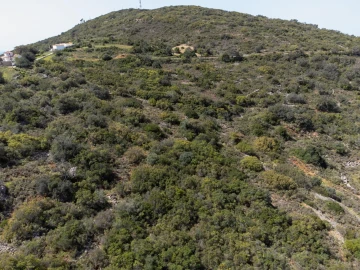 Terreno para Venda em Santa Barbara de Nexe