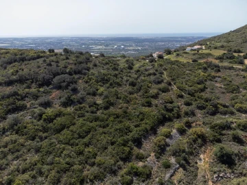Terreno para Venda em Santa Barbara de Nexe