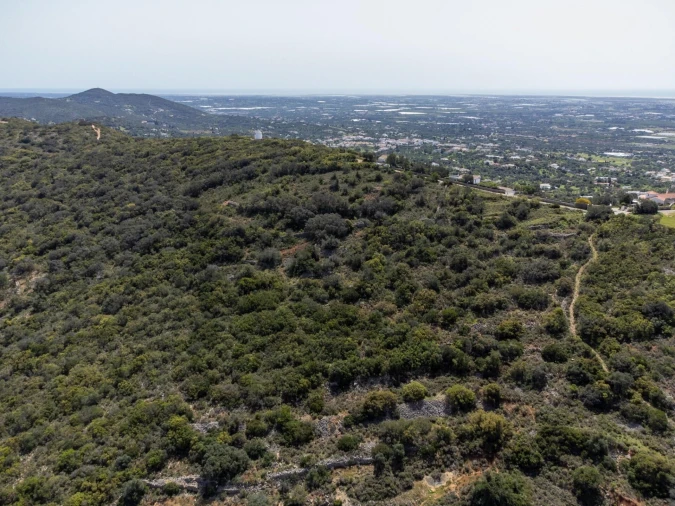 Terreno para Venda em Santa Barbara de Nexe Foto 8
