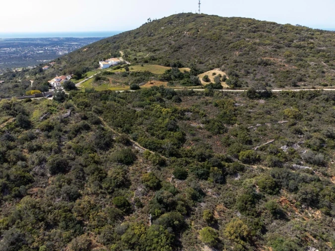 Terreno para Venda em Santa Barbara de Nexe Foto 4