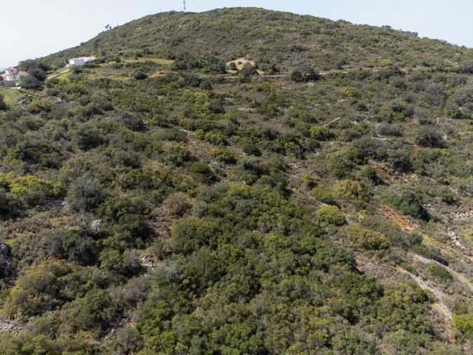 Terreno para Venda em Santa Barbara de Nexe Foto 11