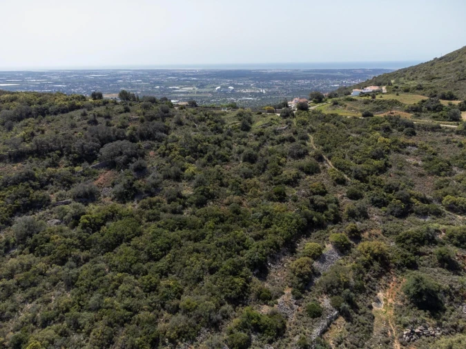 Terreno para Venda em Santa Barbara de Nexe Foto 10
