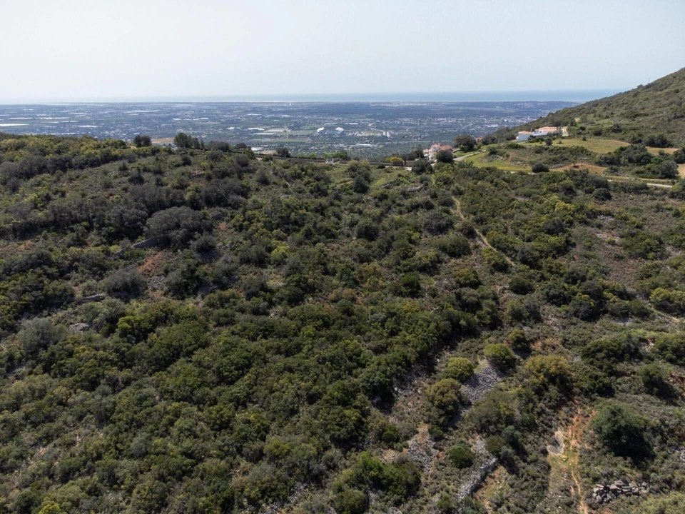 Terreno para Venda em Santa Barbara de Nexe Foto 10