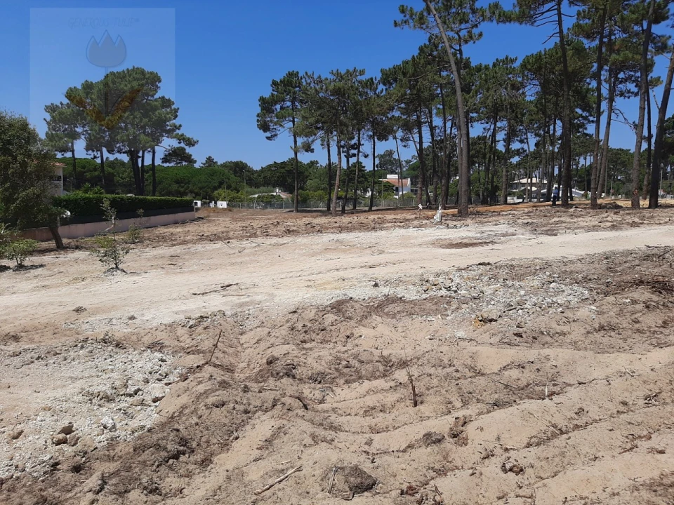 Terreno para Venda em Colares Foto 4