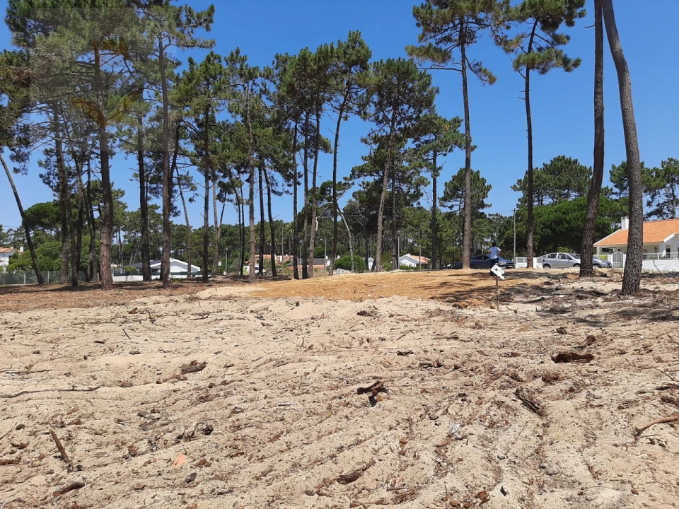 Terreno para Venda em Colares Foto 5