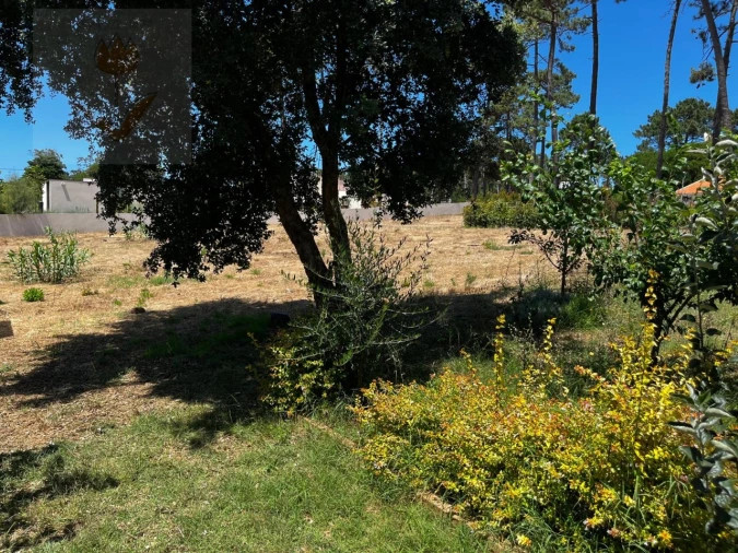 Terreno para Venda em Colares Foto 8