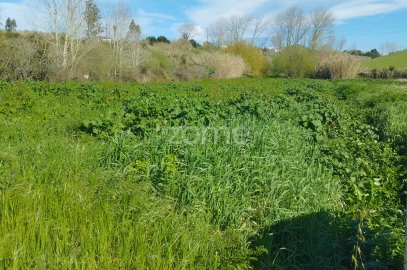 Terreno para Venda em Monte Real e Carvide