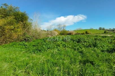 Terreno para Venda em Monte Real e Carvide